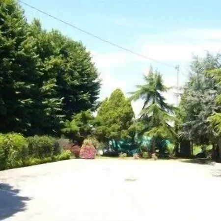 Zabotto 3*